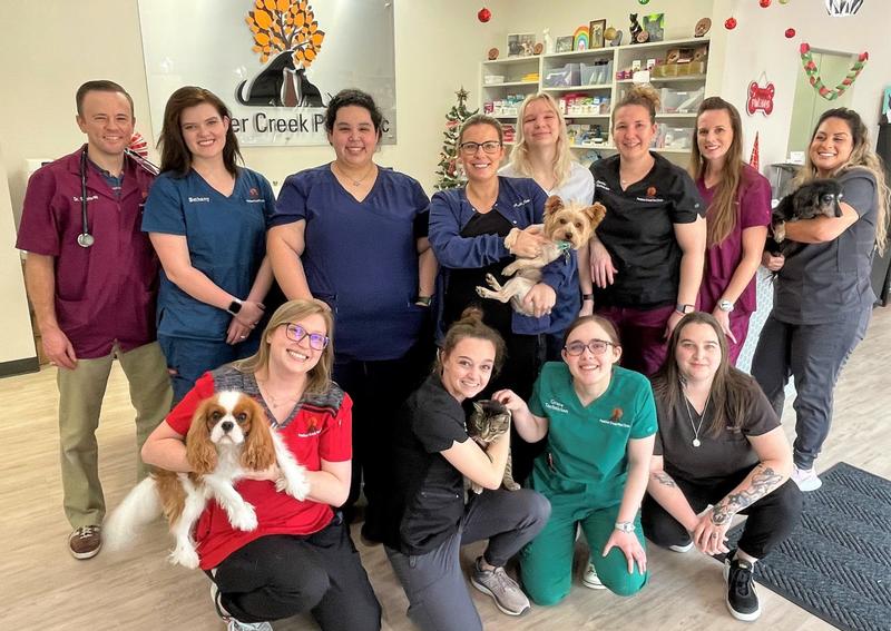 Panther Creek Pet Clinic The Woodlands Veterinary Hospital